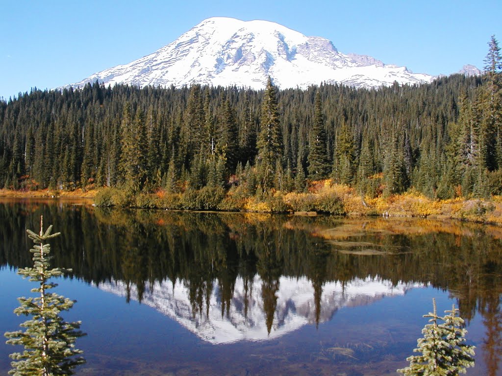 Reflection Lake, Mt. Rainier by woodgriz