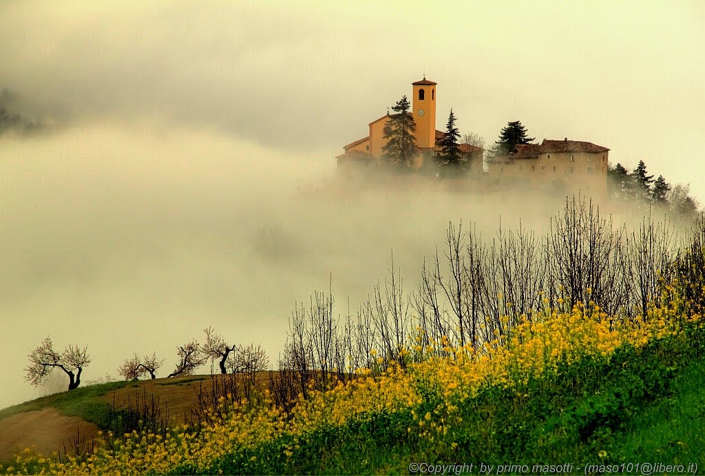 Back to Life - Montecorone (Zocca modena italy) _0839_ dvd 15 - by masotti primo