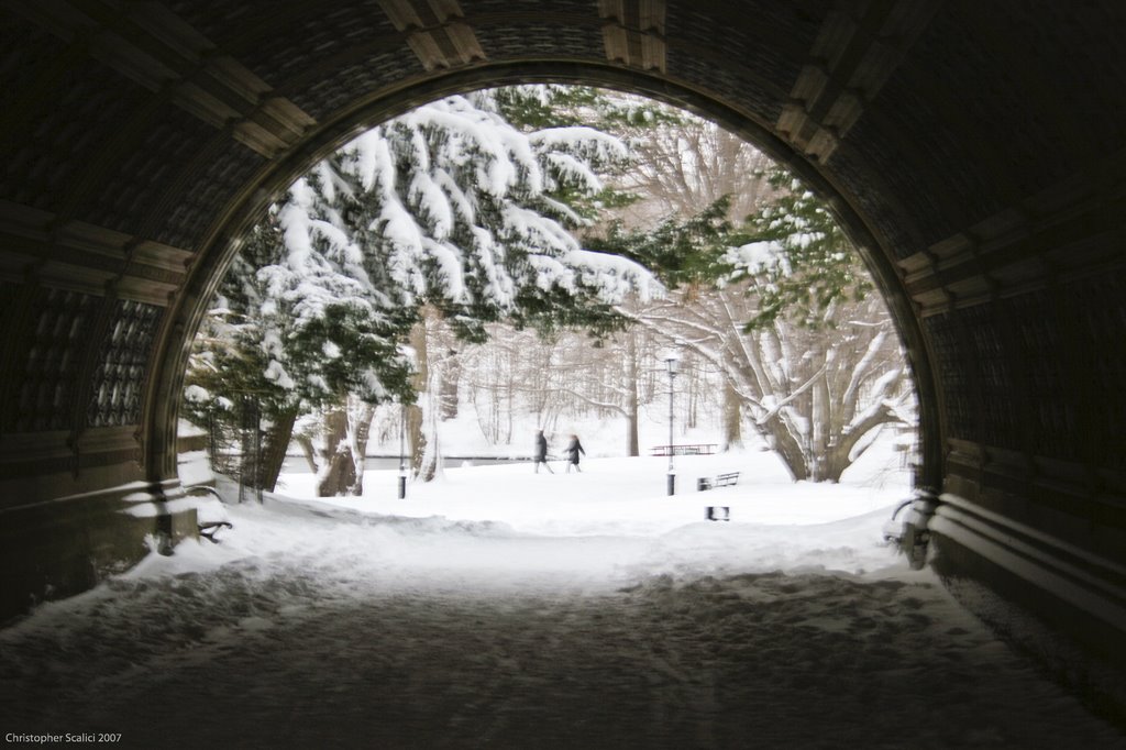 February 2006 314 Tunnel Under Foot Bridge in Winter by ©Toodleberry