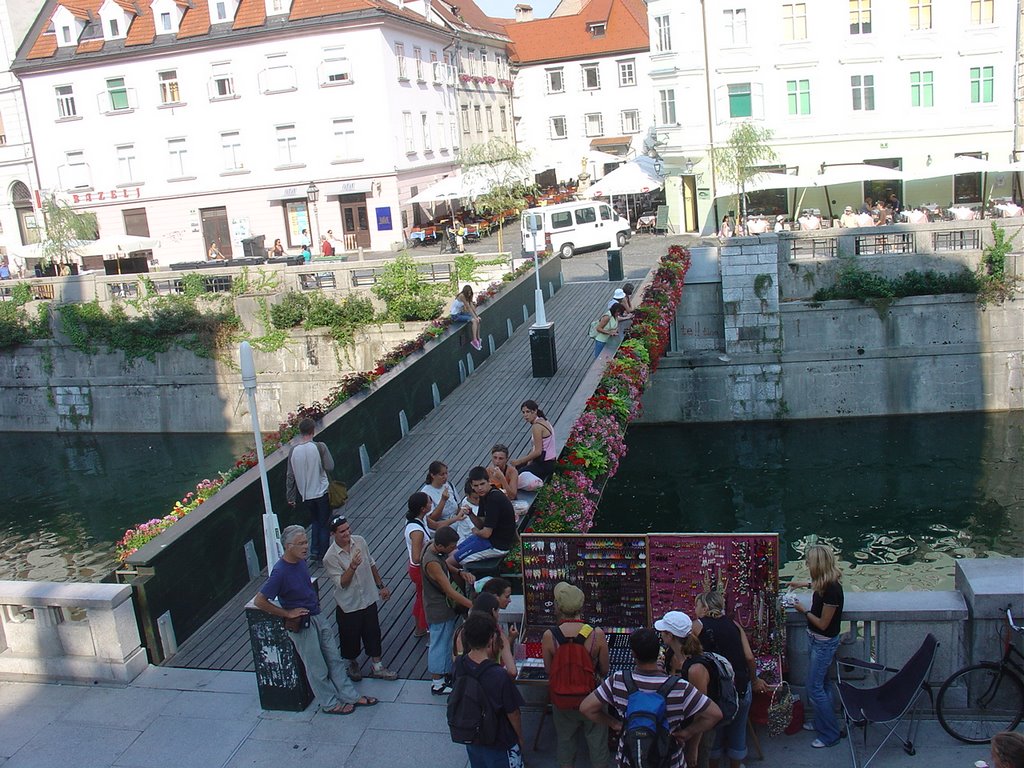 Ljubljana, Slovenia by Adjuto Silva