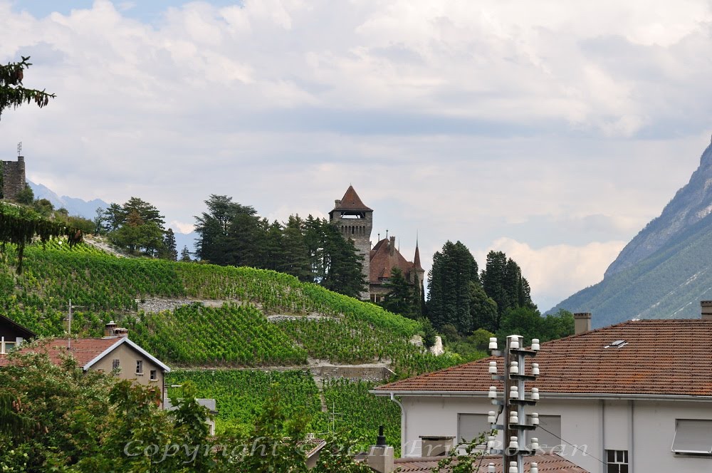 Chateau Salgesch by Eric Bossan