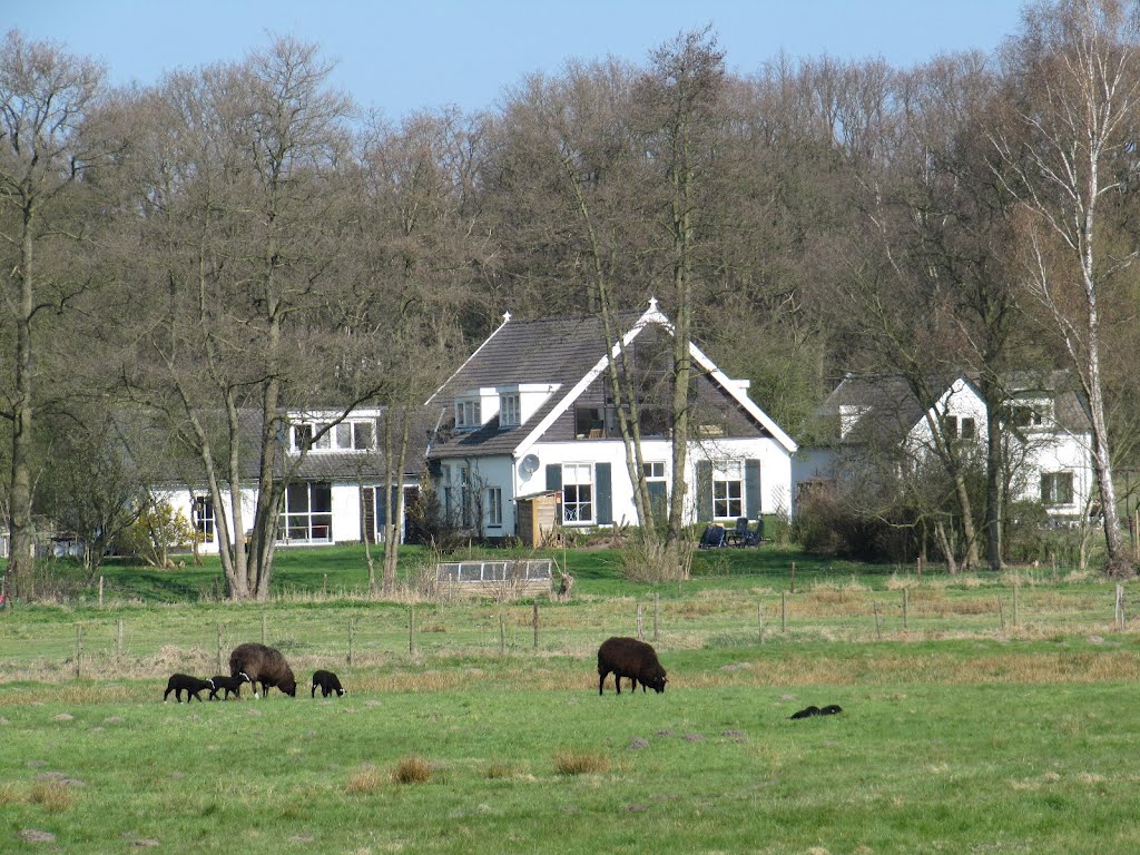 Voorjaar in het dal by Wim Schut