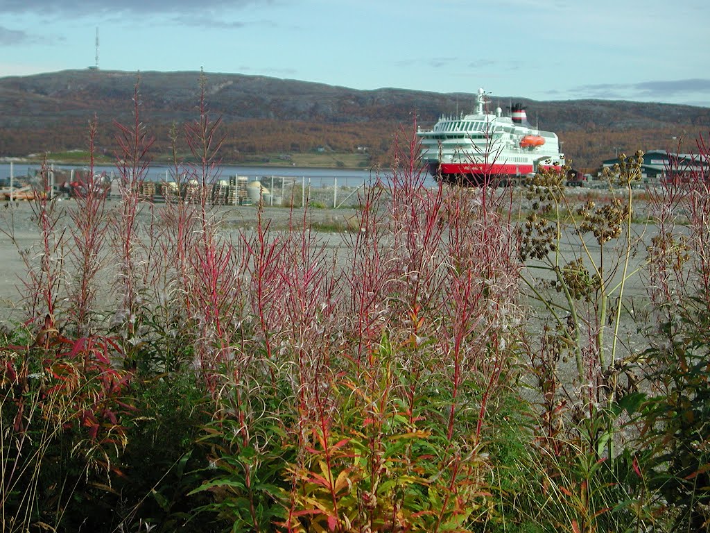 M/S POLARLYS ved kai i Kirkenes Sept. 2001 by H.Jelstad