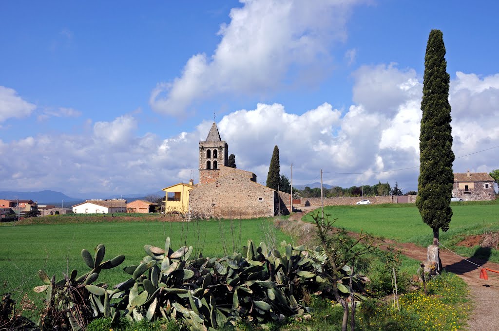 Sant Dalmai, Afores by peremagria