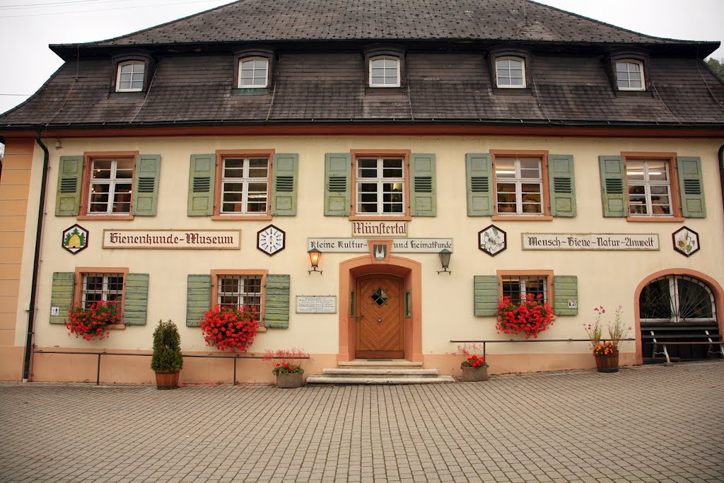 Bienenmuseum Münstertal - Schwarzwald by ronschroeder