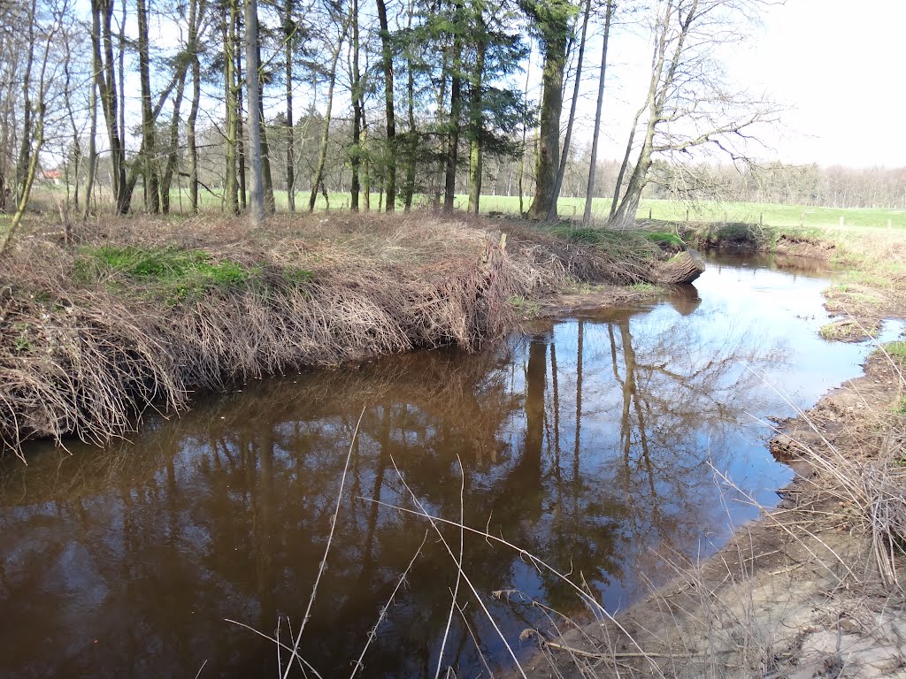 Alsterlauf in Bargfeld-Stegen by rickert-hamburg