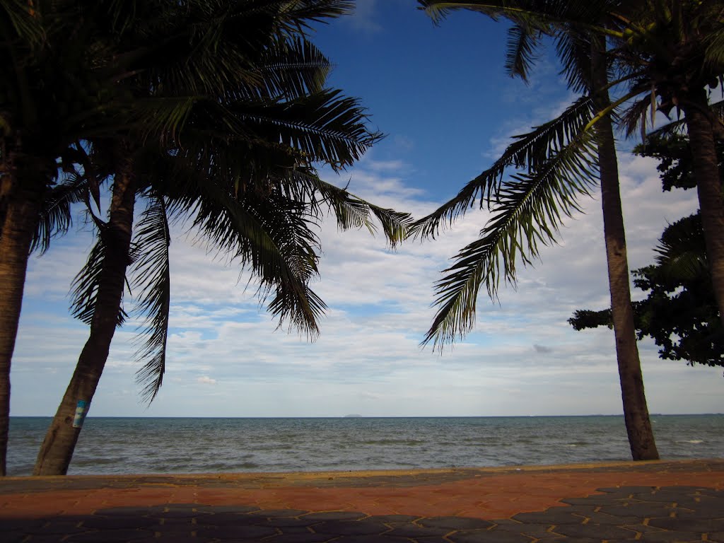 Couple coconut on Jomien beach by Piti Luangprasert