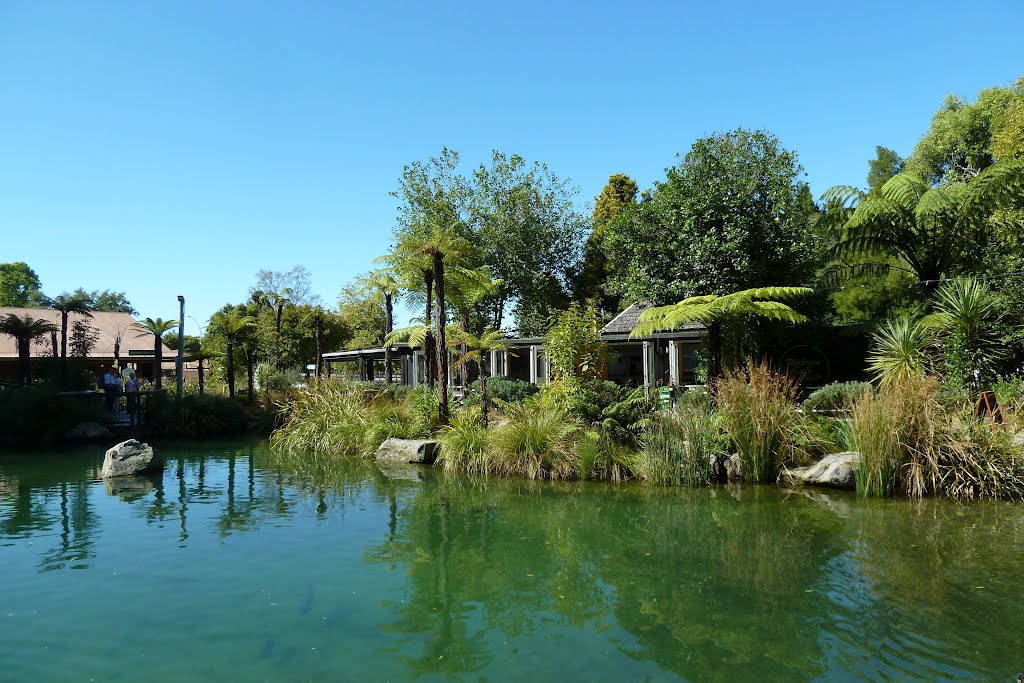 Rainbow Springs Kiwi Wildlife Park - Rotorua by Joseph-Cro