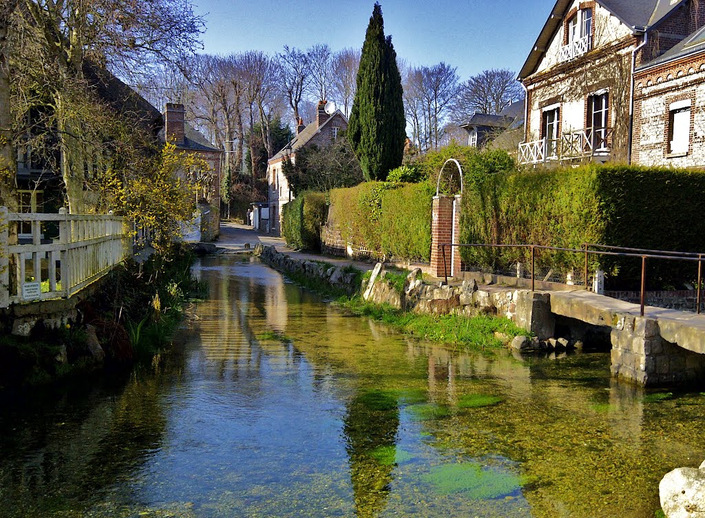 The river Veules which Flows through the Commune is the Shortest sea-bound River of France (1.194 kilometres) by gabachat