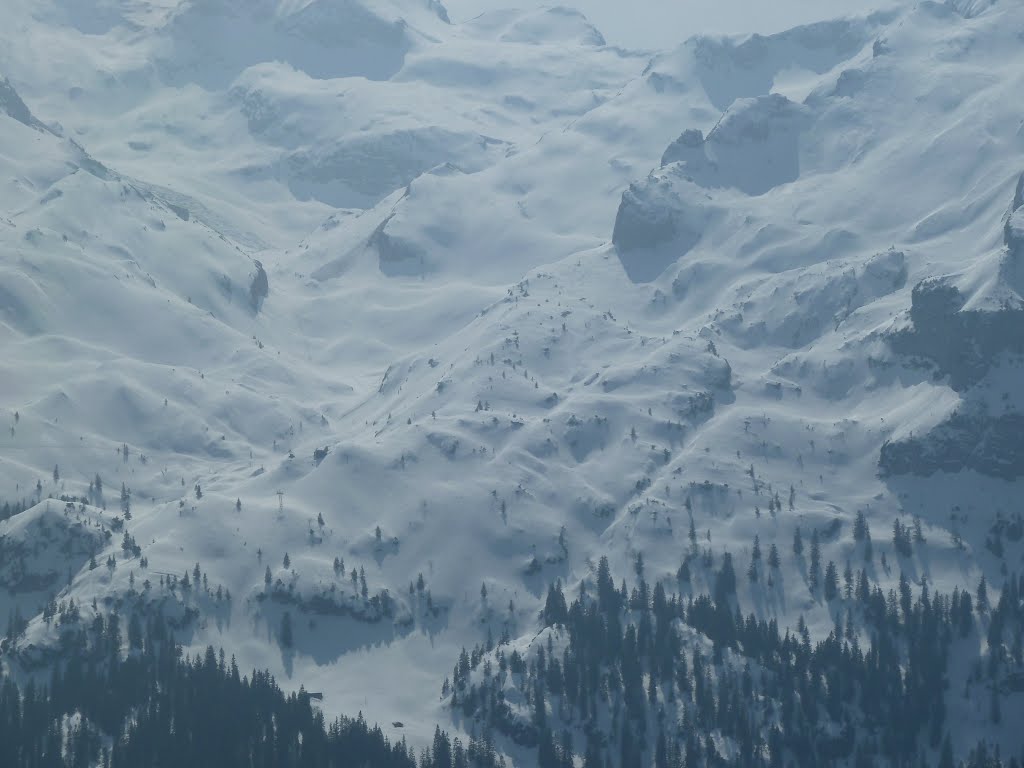 Blick auf die andere Seite des Riemenstaldentals zur Luftseilbahn Chäppeliberg-Spilau und davon abgehende Tourenspuren by franzhorvath