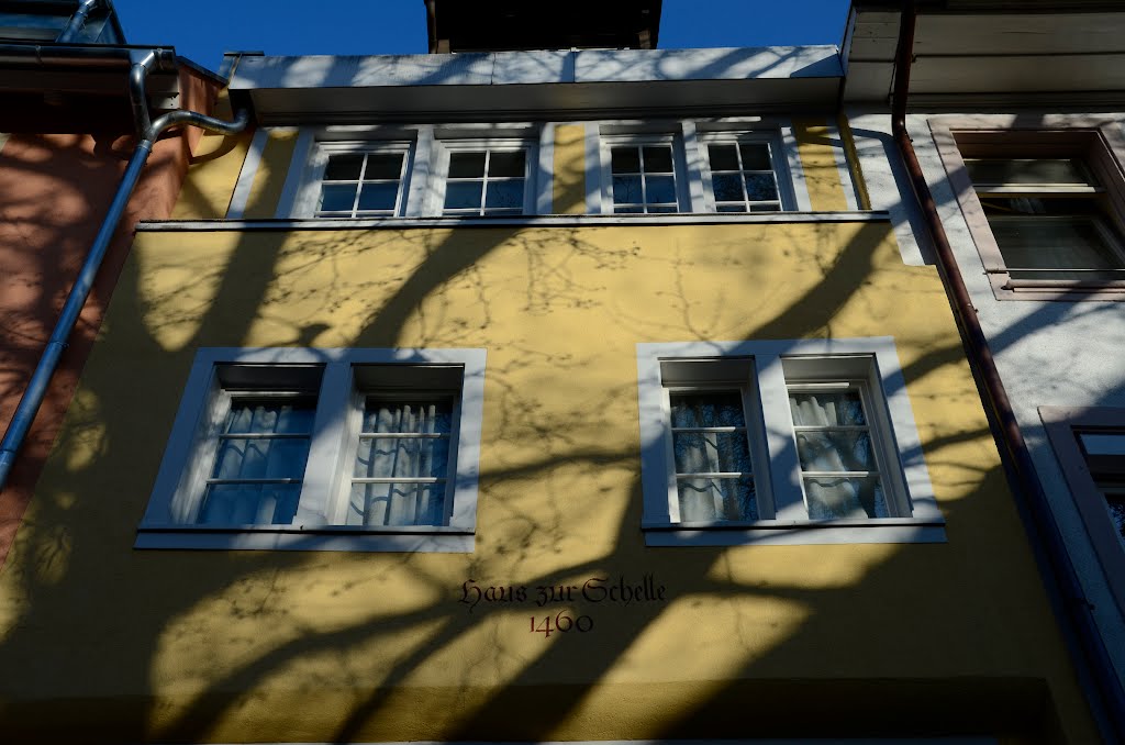 Baumschatten auf dem Haus zur Schelle by Zaphod Beeblebroxx