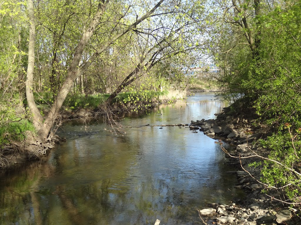 Elmhurst, Salt Creek County Forest Preserve by Aldin Barucic