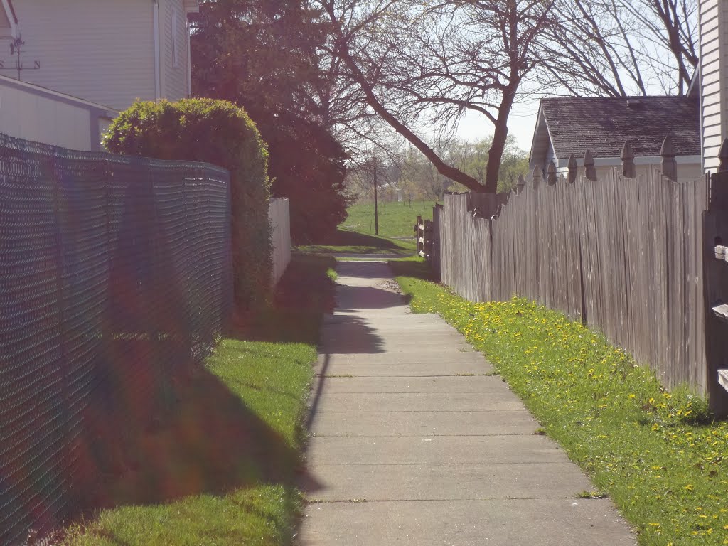 Around my neighborhood in Carol Stream by Aldin Barucic