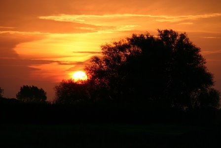 Sonnenuntergang Wischhafen by Marco Heinsohn