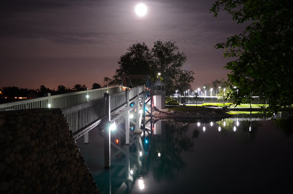 Full Moon over Woodbridge by dlespera