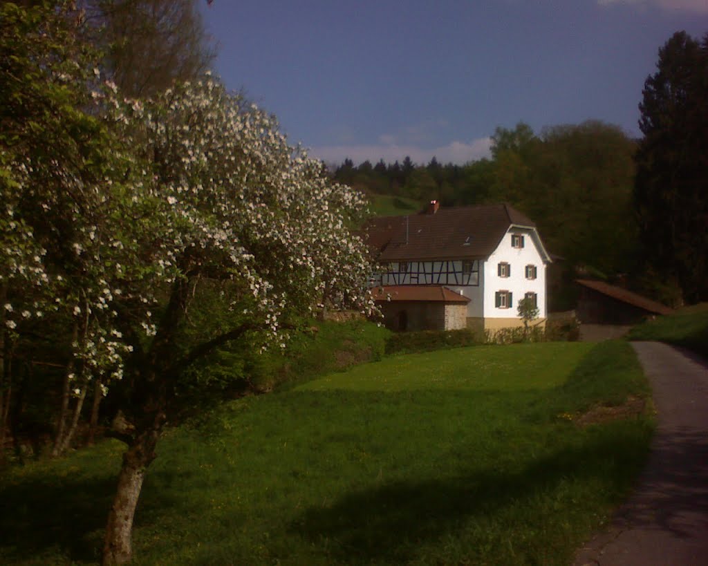 Lochmühle im Frühling by MichPzsch