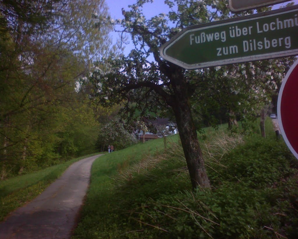 Fußweg über Lochmühle zum Dilsberg by MichPzsch