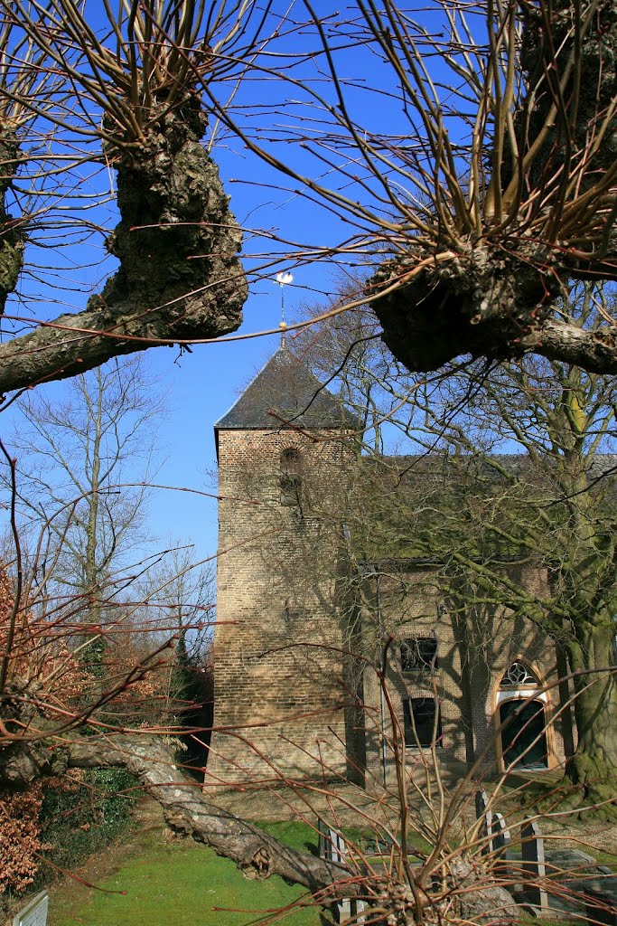 Appeltern - Maasdijk 16 : Hervormde kerk - toren by Scholte