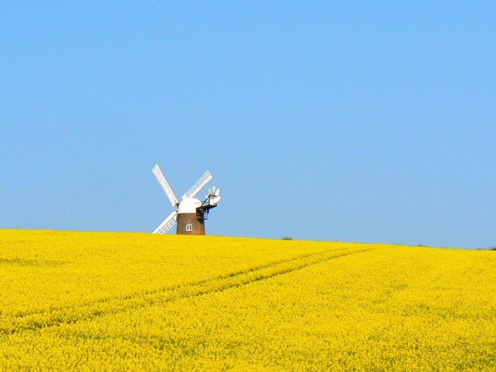 Wilton Windmill by Brian B16