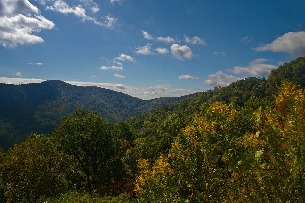 Blue Ridge Parkway by Rumiana Koynova-Tenchova