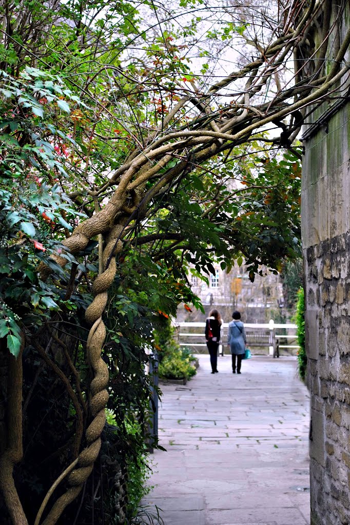 Under the arches. by Rosalyn Hilborne (♦Rosa♦)