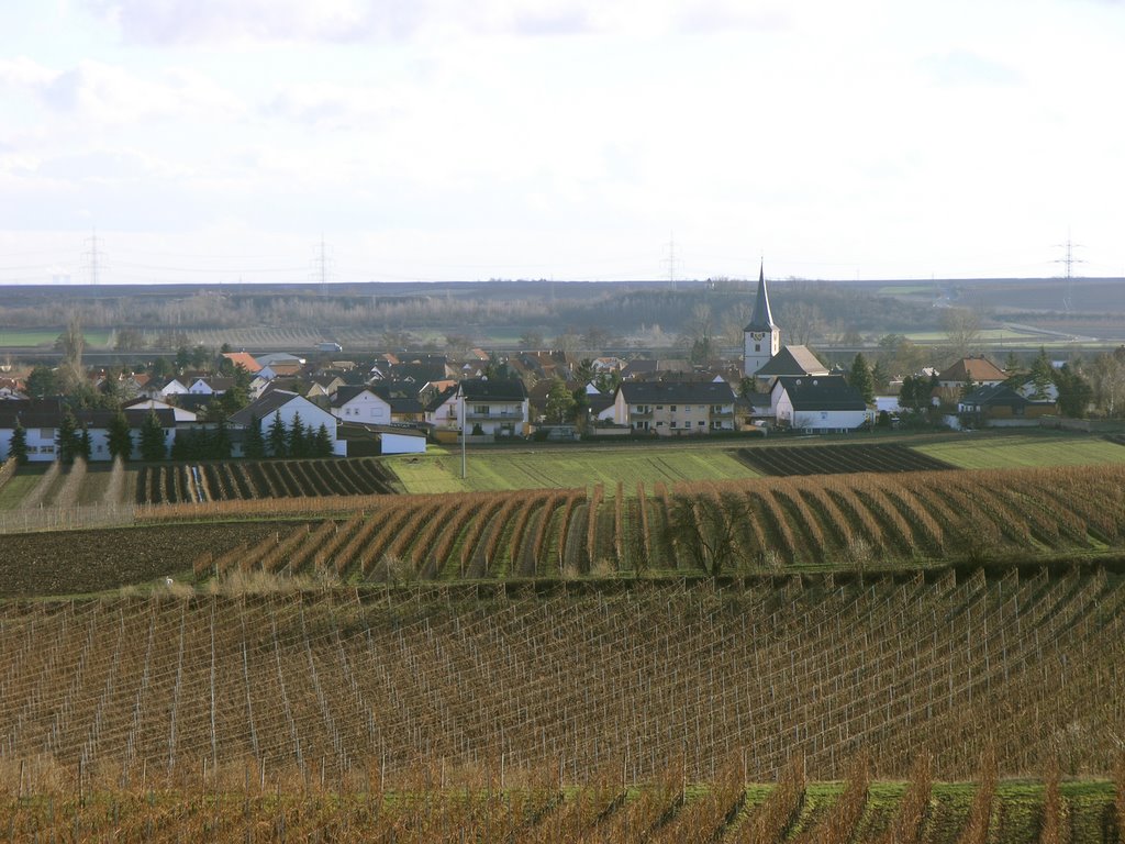 Blick auf Laumersheim by Jan Haas