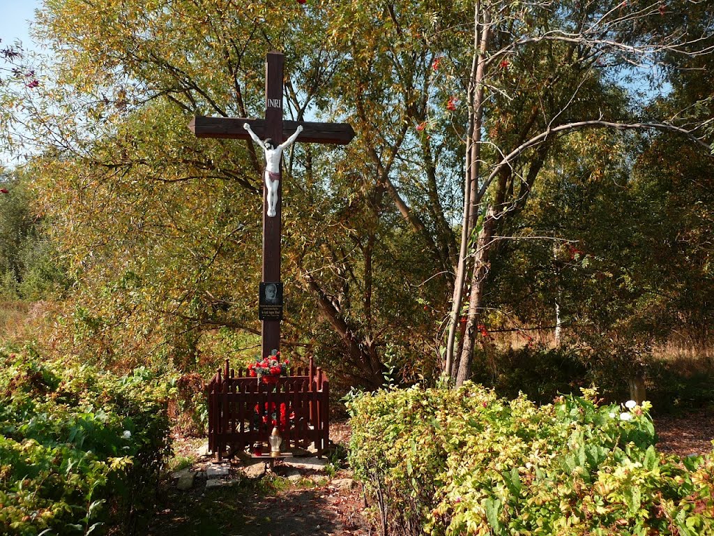 Krzyż niedaleko miejsca narodzin Hlonda (wayside cross) by Ari-chaan