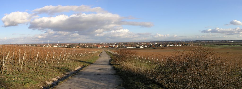 Panoramablick auf Dirmstein by Jan Haas