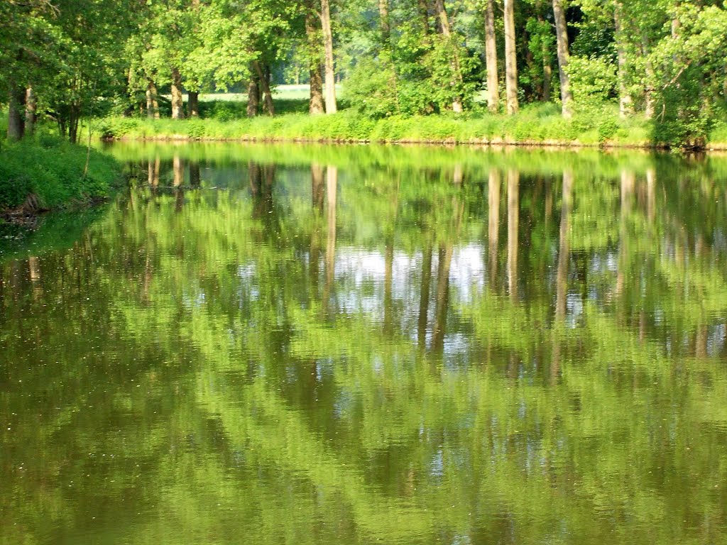 Zrcadlo hladiny řeky Moravice (Moravice river level like a mirror) by MAPP HUDRANS