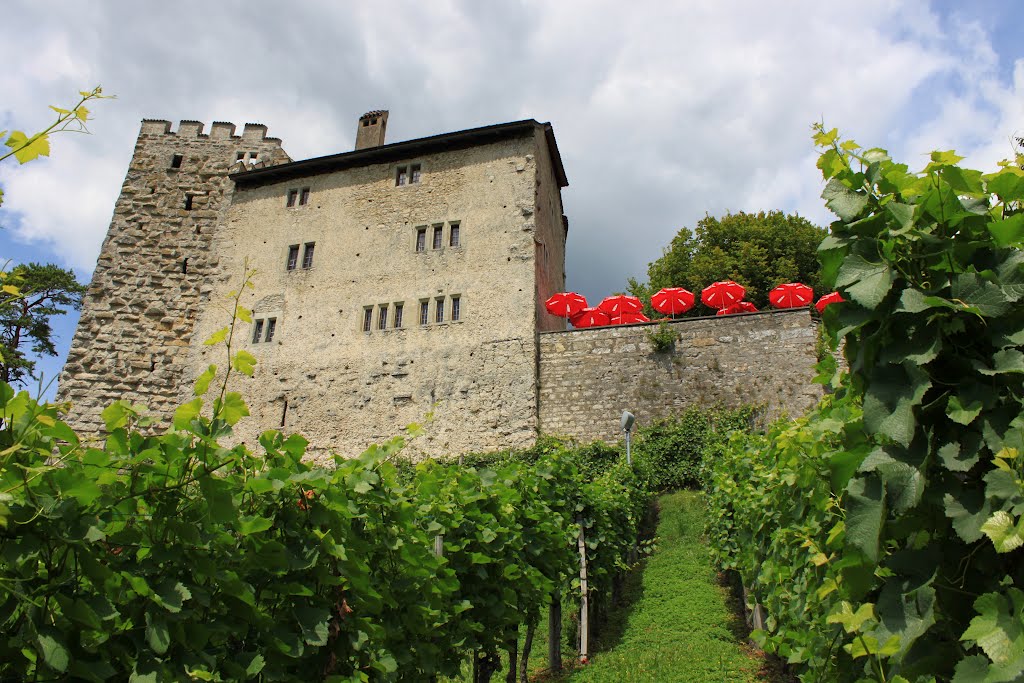 Brugg-Schloss Habsburg by Uwe Häntsch