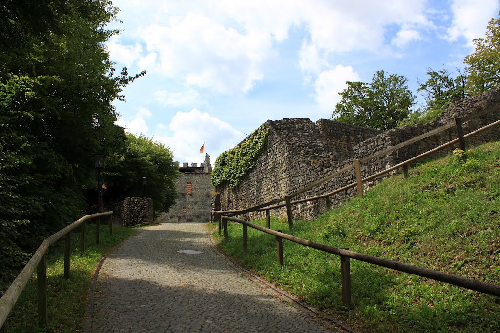 Brugg-Schloss Habsburg by Uwe Häntsch