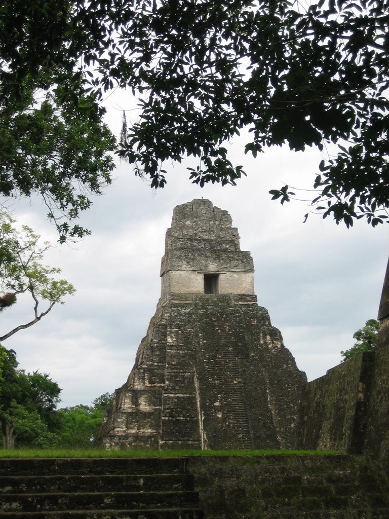 Tikal by mickynew