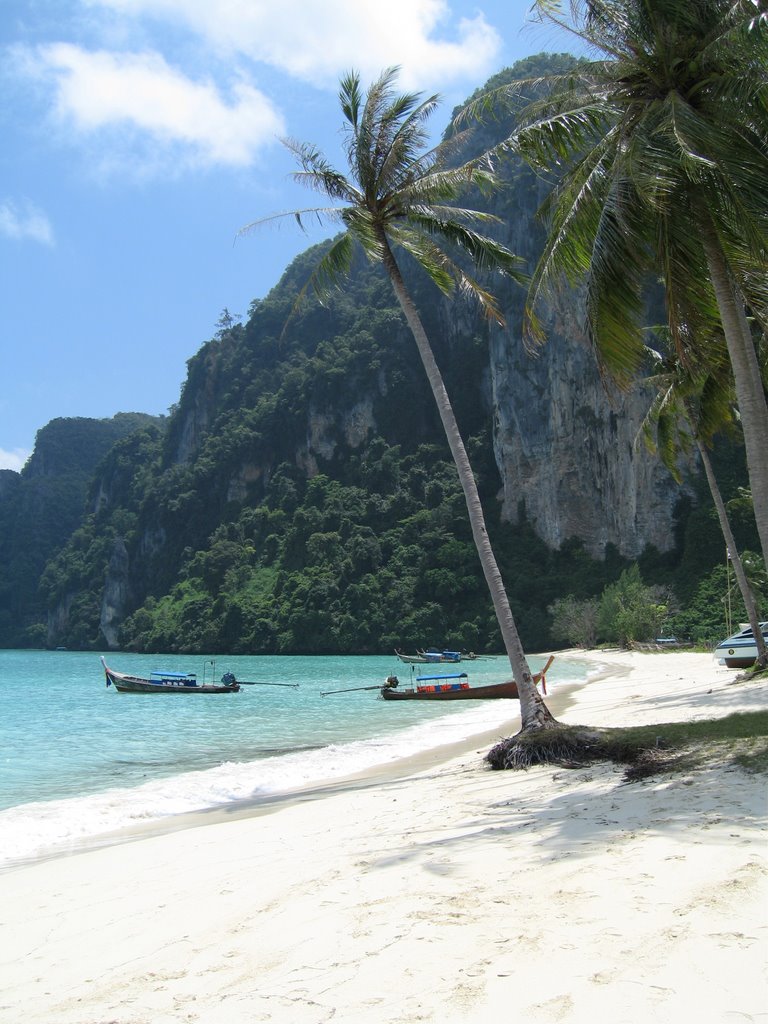 Palm Tree on Koh Phi Phi Beach October 2006 by RLB