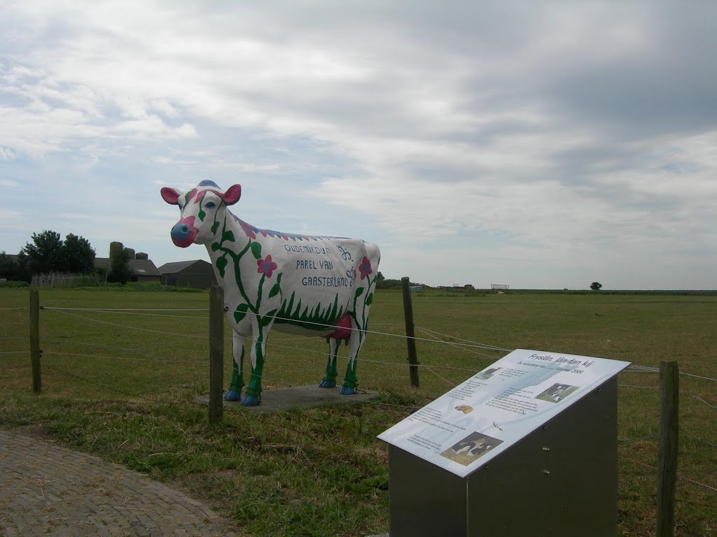 Oudemirdum. Fryslân, lân fan kij. (BB) by Bayke de Vries