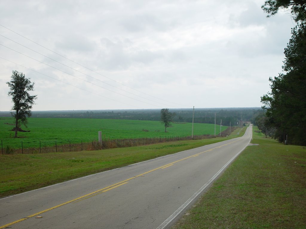 Looking south toward Wacissa River, Thomas City, Florida (12-31-2006) by Ken Badgley