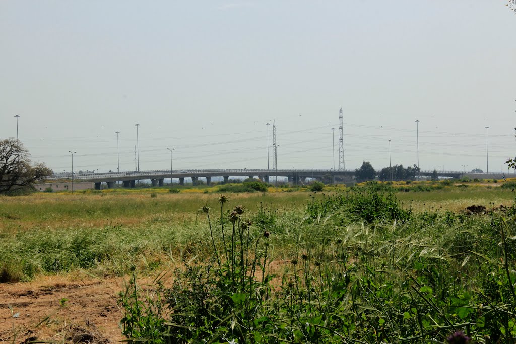 The new interchange in Ashdod by lomaster