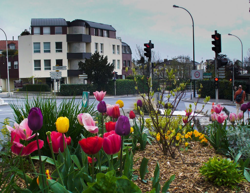 Meudon, Route des Gardes by dyana5t4r