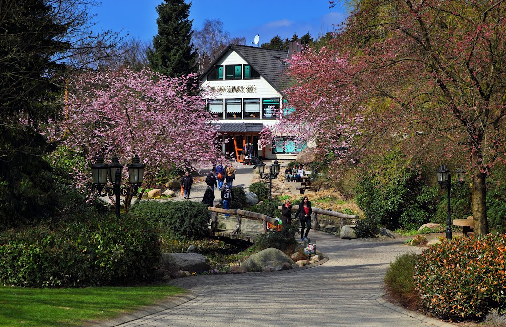 Entrance to Wildpark Schwarze Berge by Finn Lyngesen flfoto.dk