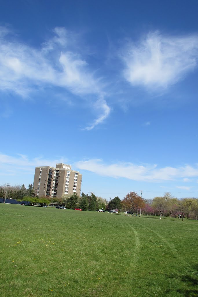 The Riverside Park Field by UnagiUnagi