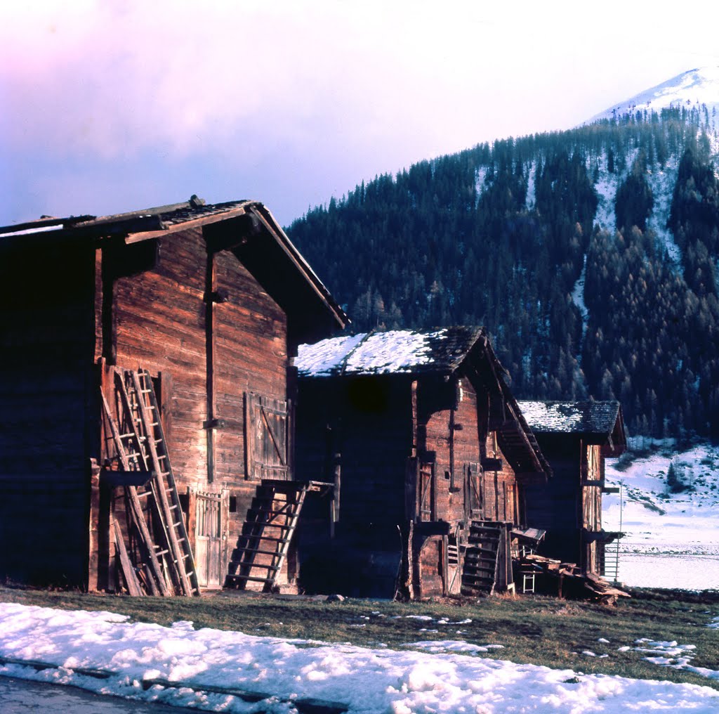 Swiss wooden chalets by eva lewitus