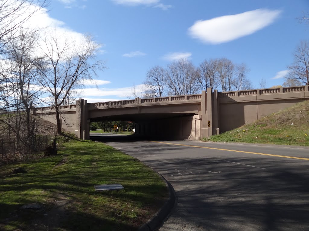 White Plains Road Bridge by rogerking