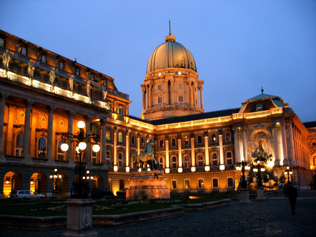 Royal Palace, Castle Hill, Buda by Nick Gent