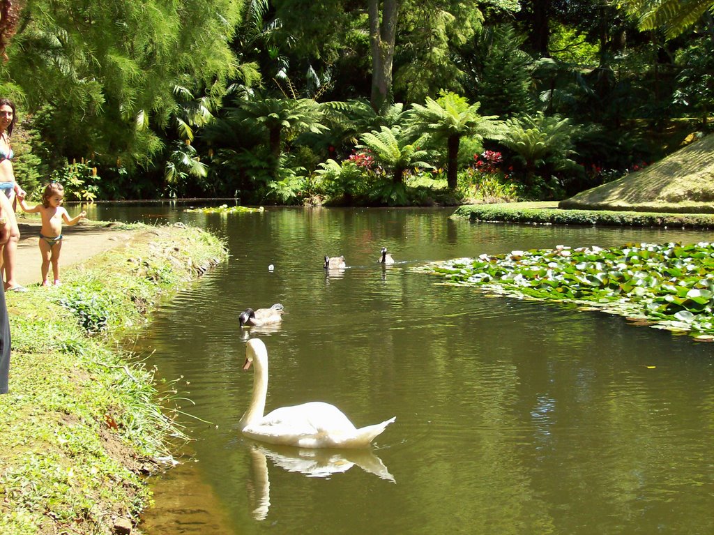 Parque Terra Nostra by Letícia Marques