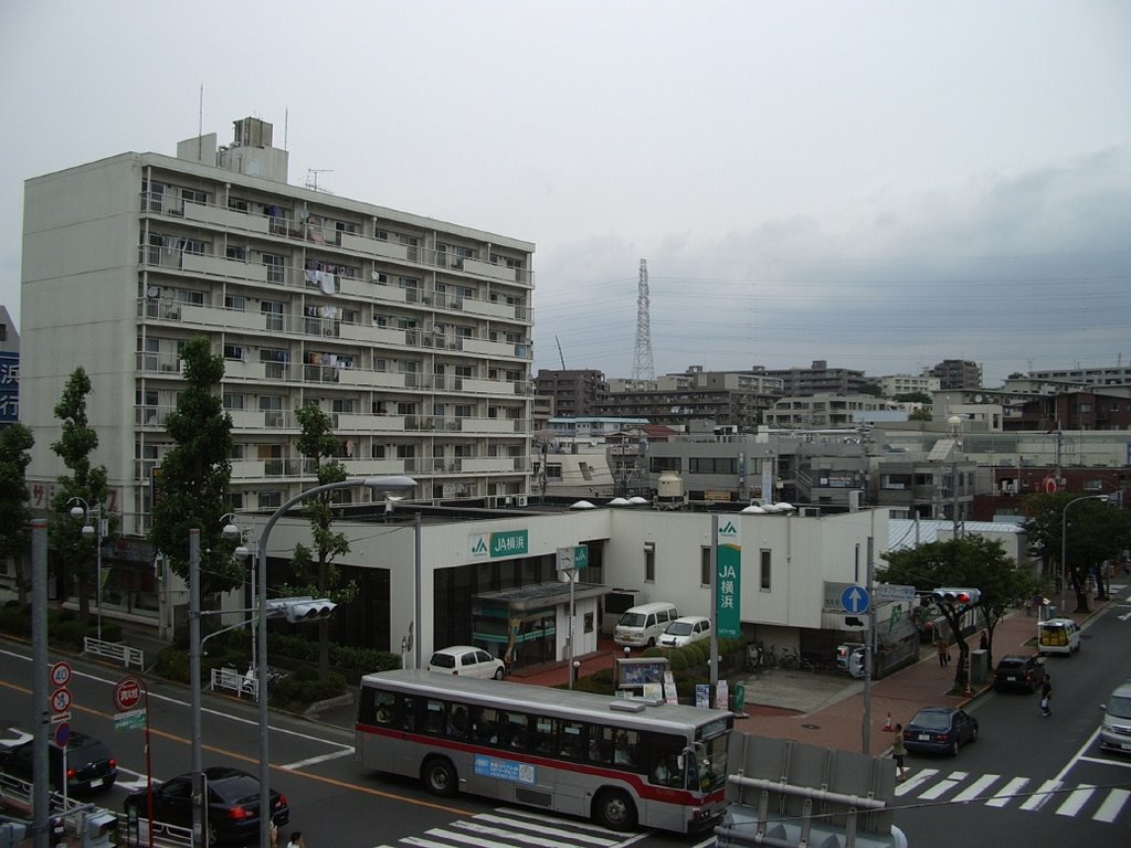 Tama Plaza - Looking Due North from Tokyo Depato by pozzy