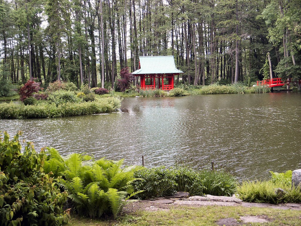 Mierzęcin: The Japanese garden at the palace complex by Maciejk