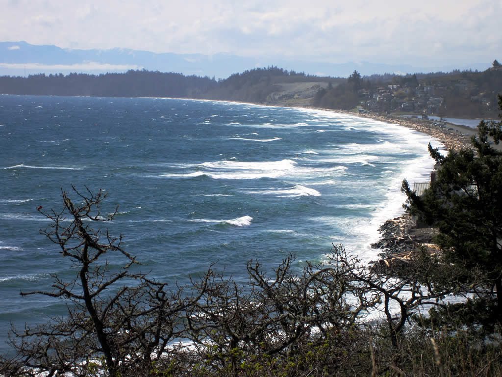 Coast from Fort Rodd Hill by David Stanley