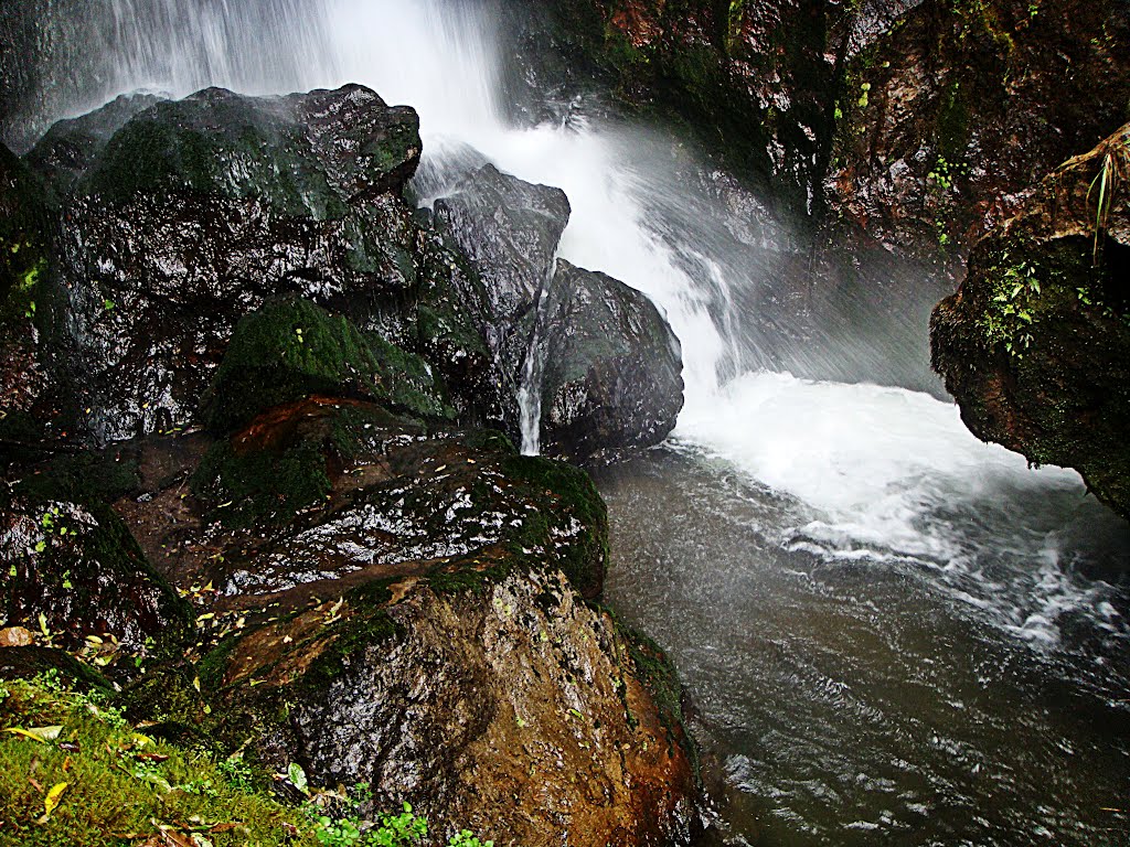 Kaiate Falls, Waito, NZ by gglinkk