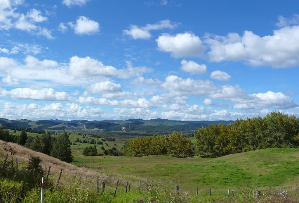 View from Highway 1, near Umawera, Northland by Linbery