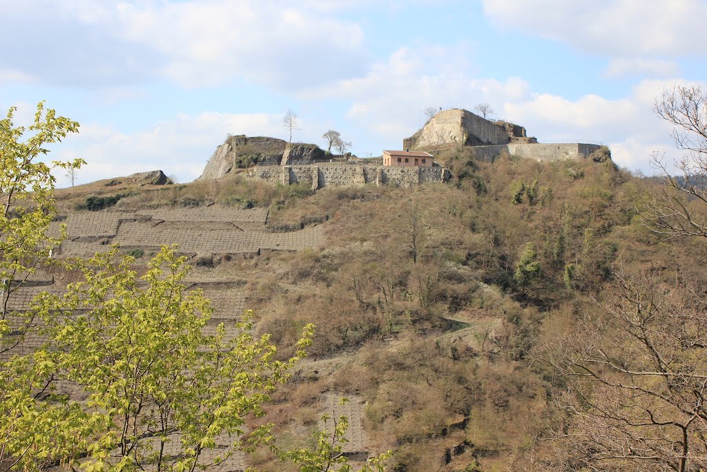 Burgruine Saffenburg by © Wim