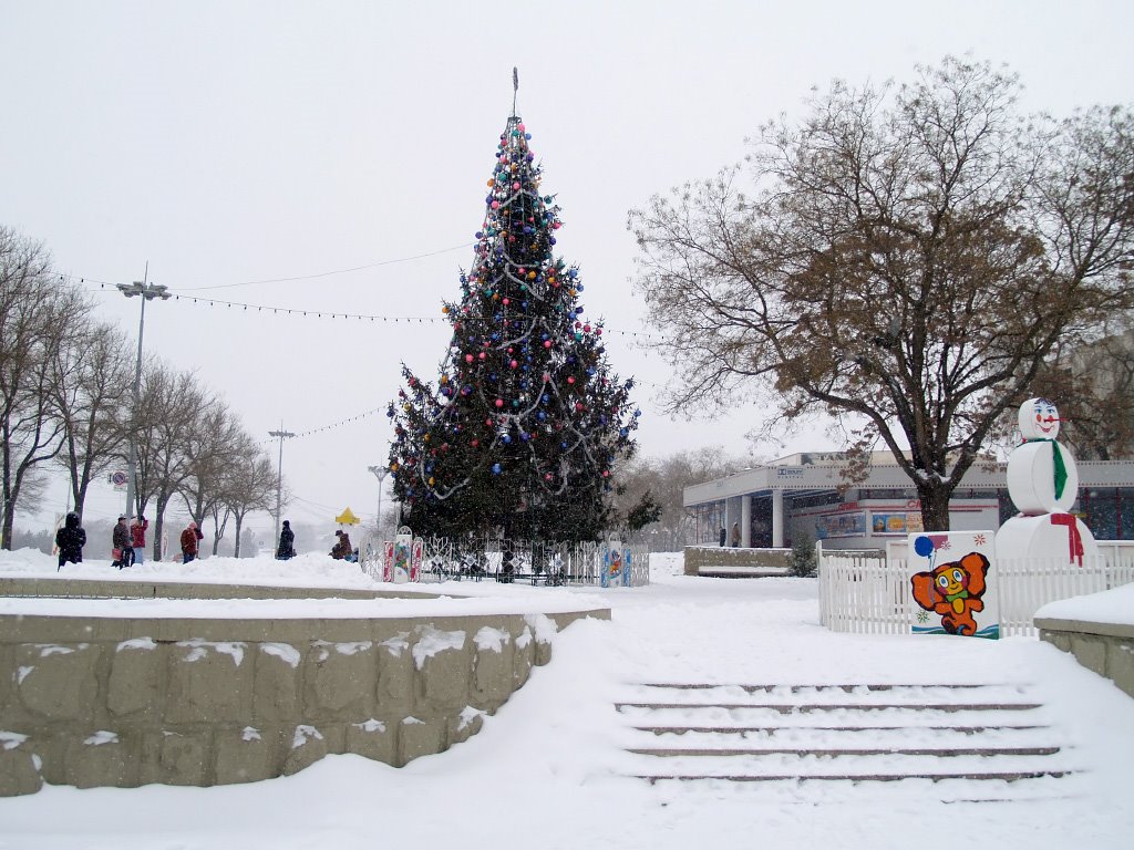 New Year Tree in the center of Tiraspol (Новогодняя ёлка в центре Тирасполя) by Stanislav K